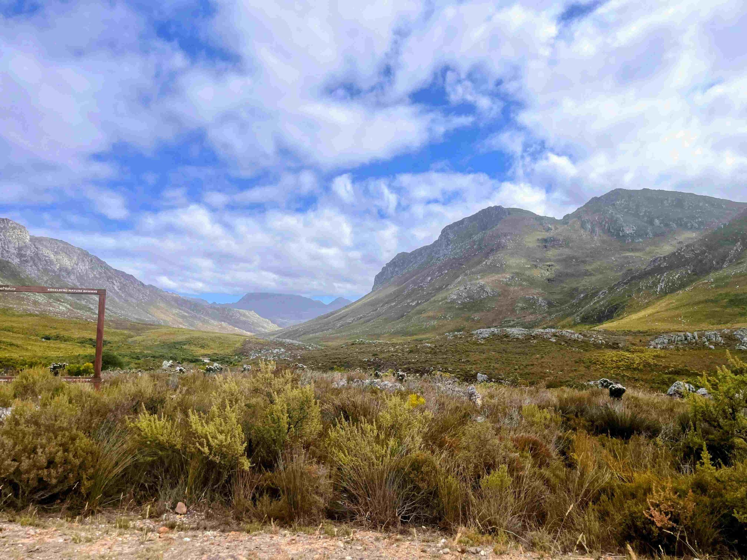 Kogelberg Nature Reserve