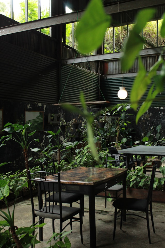 Breakfast Spots in Cape Town