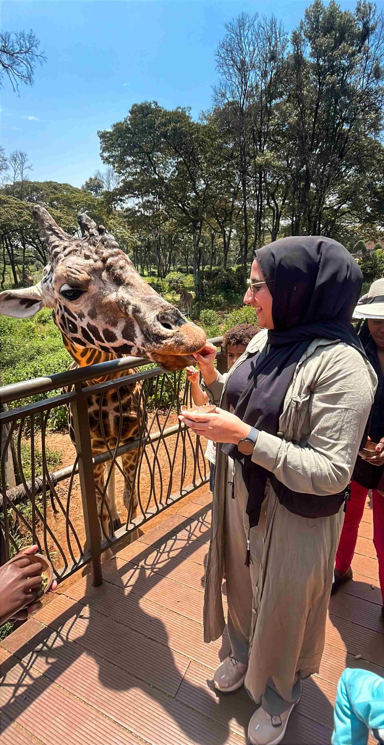 Giraffe Centre