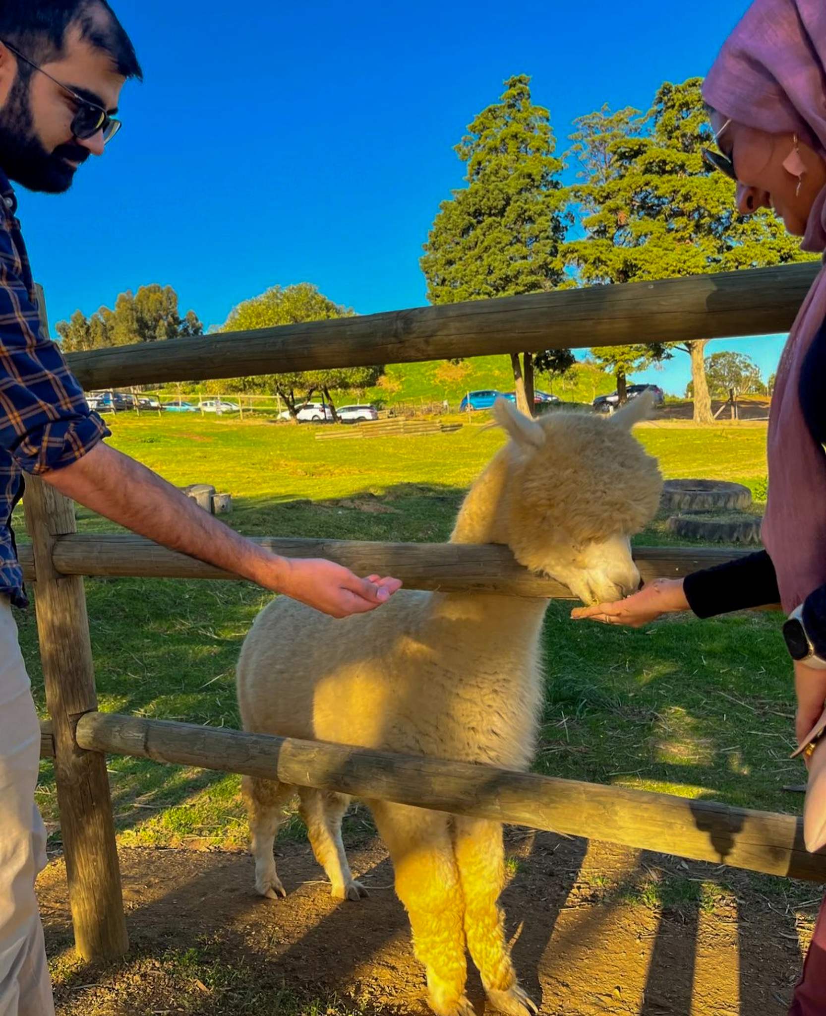 Things to do in South Africa