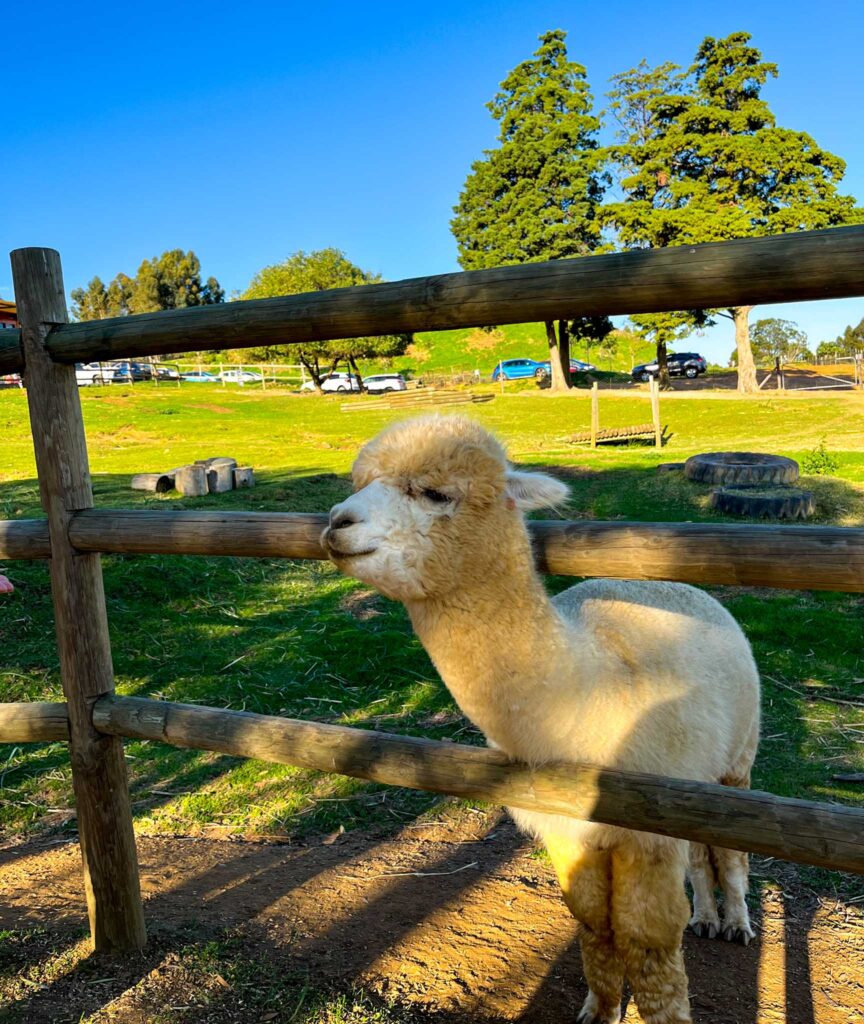 Things to do in South Africa