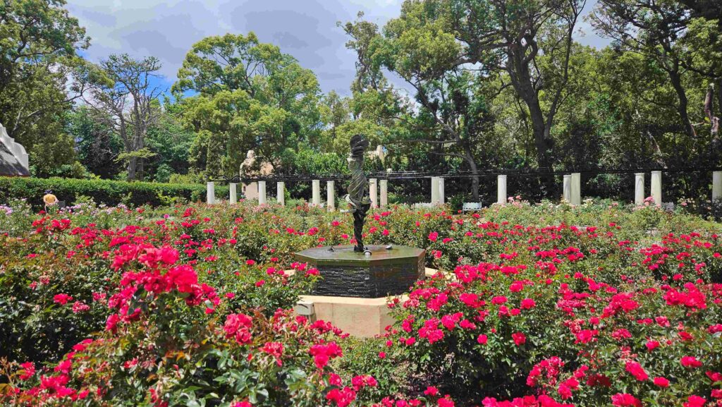 Day Trip Cape Town