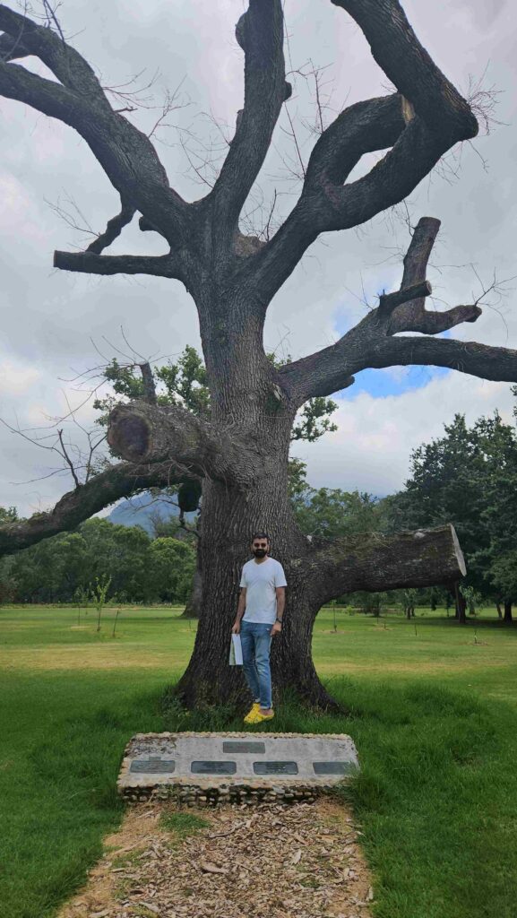 Day Trip Cape Town