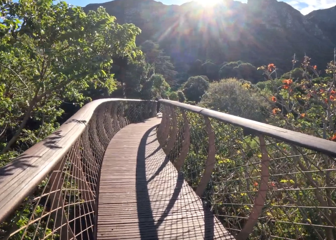 Kirstenbosch Botanical Gardens