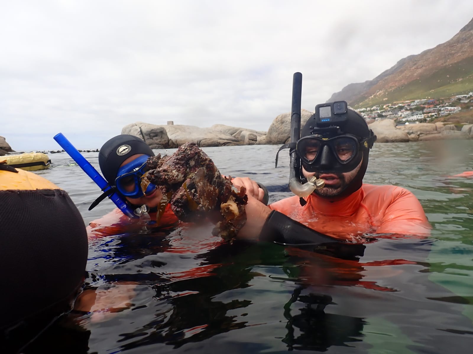 Snorkeling Cape Town