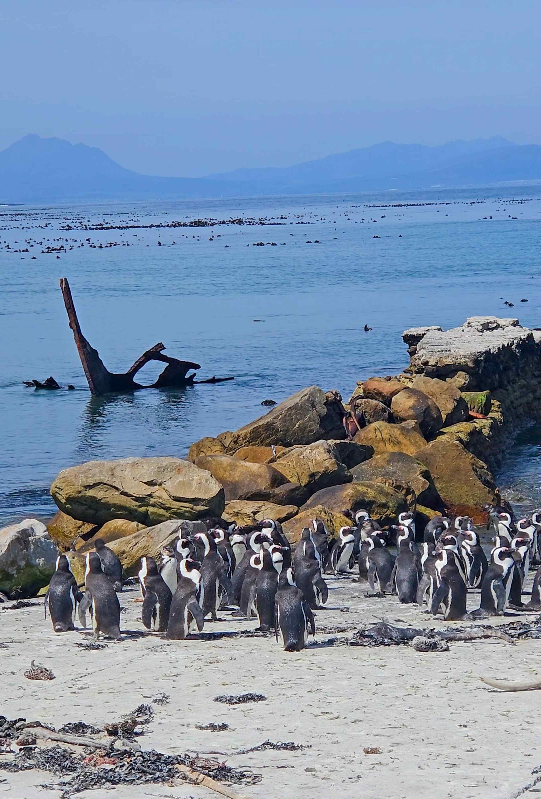 Stony Point Nature Reserve