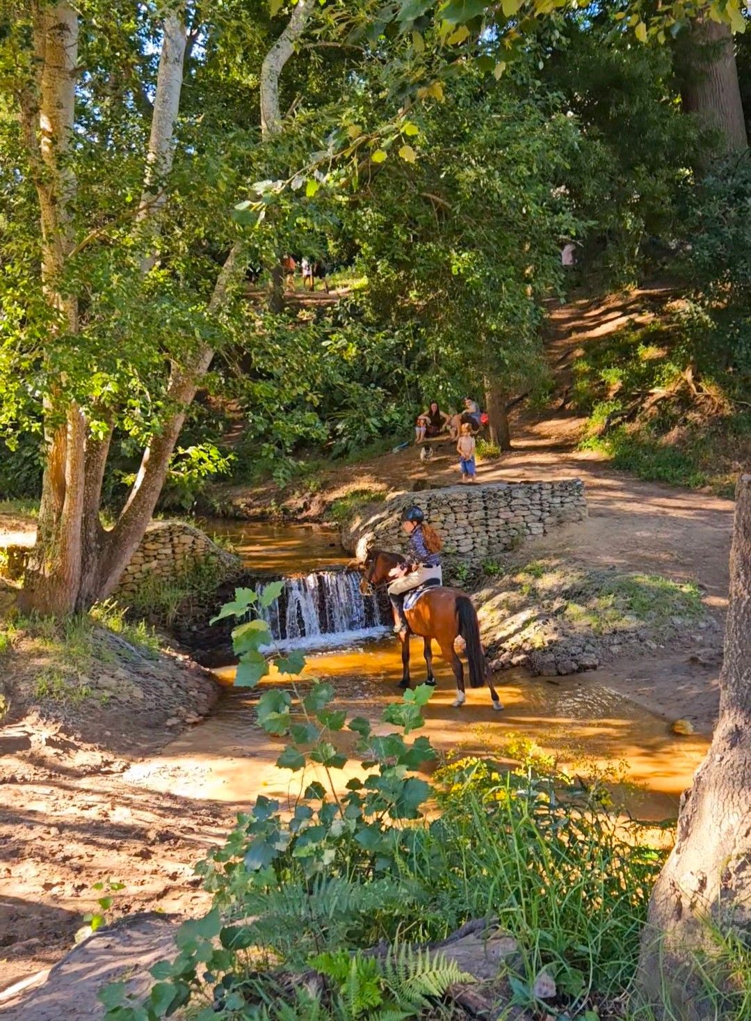 Alphen Trail Constantia